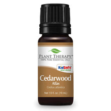 Cargar imagen en el visor de la galería, Plant Therapy Aceite Esencial Cedarwood Himalayan
