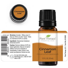 Cargar imagen en el visor de la galería, Plant Therapy Aceite Esencial Cinnamon Leaf