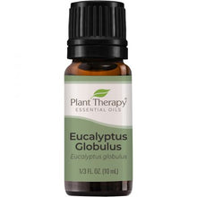 Cargar imagen en el visor de la galería, Plant Therapy Aceite Esencial Eucalyptus Globulus