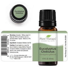 Cargar imagen en el visor de la galería, Plant Therapy Aceite Esencial Eucalyptus Globulus