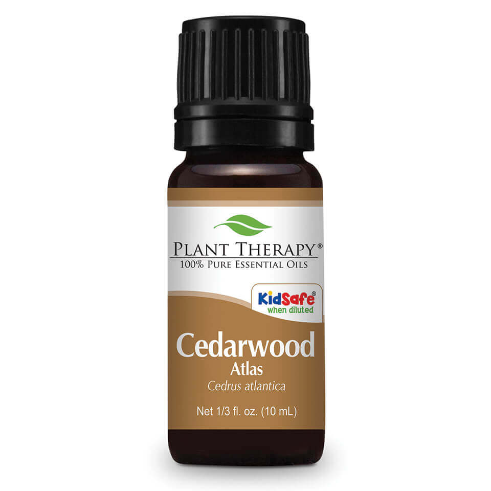 Plant Therapy Aceite Esencial Cedarwood Himalayan