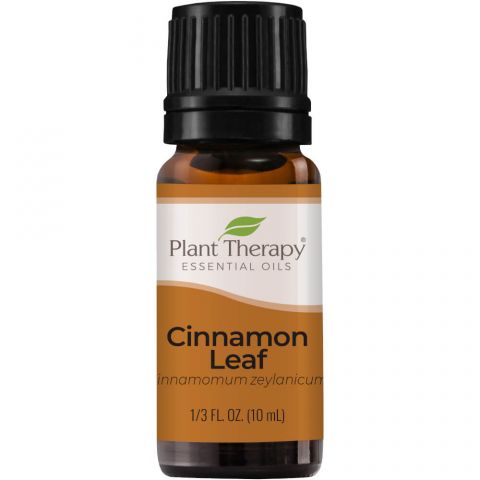 Plant Therapy Aceite Esencial Cinnamon Leaf