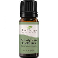 Cargar imagen en el visor de la galería, Plant Therapy Aceite Esencial Eucalyptus Globulus
