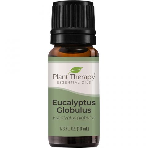 Plant Therapy Aceite Esencial Eucalyptus Globulus